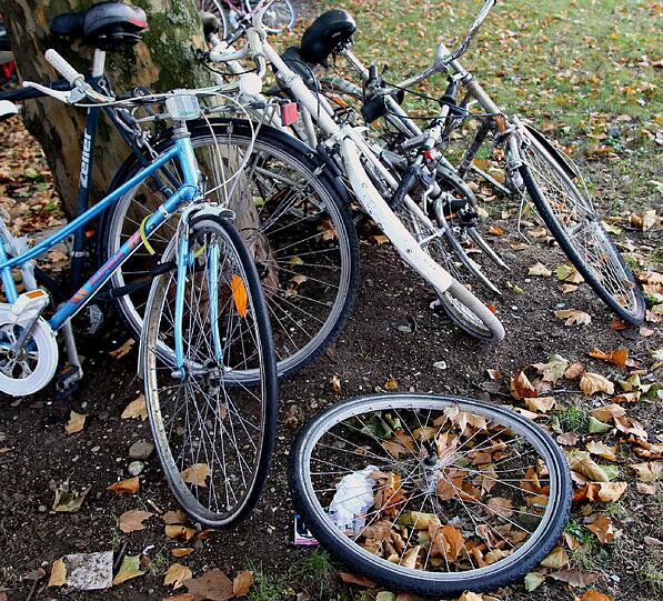 Sie liegen verbeult im Park, die Reifen wurden gestohlen oder beschädigt - diese Schrott-Radl fallen ebenfalls der Entsorgungs-Aktion zum Opfer.