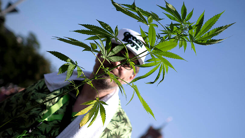 Ein Mann trägt eine Hanfpflanze. Damit Minderjährige nicht mit der Droge oder mit Alkohol, der erst ab 18 Jahren erlaubt ist, in Berührung kommen, gibt es auf dem Chiemsee Reggae Summer 2026 erstmals eine Altersbeschränkung.