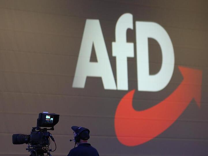 Nach Angaben der Bundestagsverwaltung hat die AfD-Fraktion bislang rund 200 Kleine Anfragen zu vermeintlichen "Korrekturbitten" gestellt.
