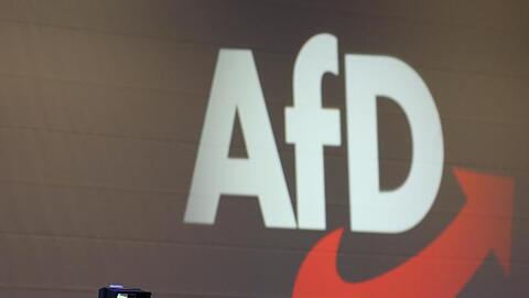 Nach Angaben der Bundestagsverwaltung hat die AfD-Fraktion bislang rund 200 Kleine Anfragen zu vermeintlichen "Korrekturbitten" gestellt.