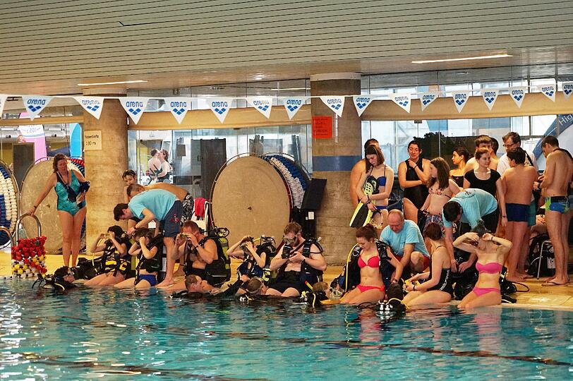Weitere Bilder zum Wassersportfestival im Olympiabad.
