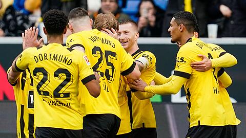 Die BVB-Spieler jubeln über den Sieg bei der TSG 1899 Hoffenheim.