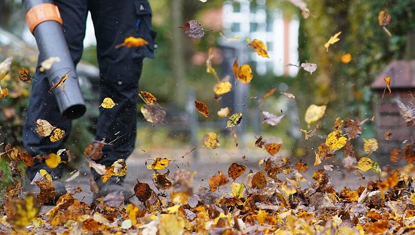 Zürich will den Einsatz nur noch von Oktober bis Dezember erlauben. (Symbolfoto)