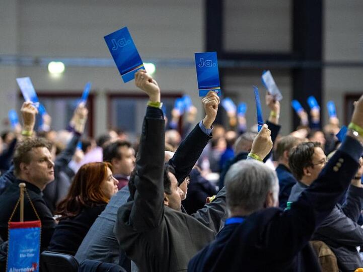 Delegierte halten bei der Europawahlversammlung der AfD in Riesa Stimmzettel hoch.