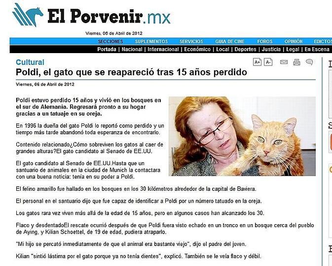 "Poldi, el gato que se reapareció tras 15 anos perdido." So sagt man's in Mexiko.
?