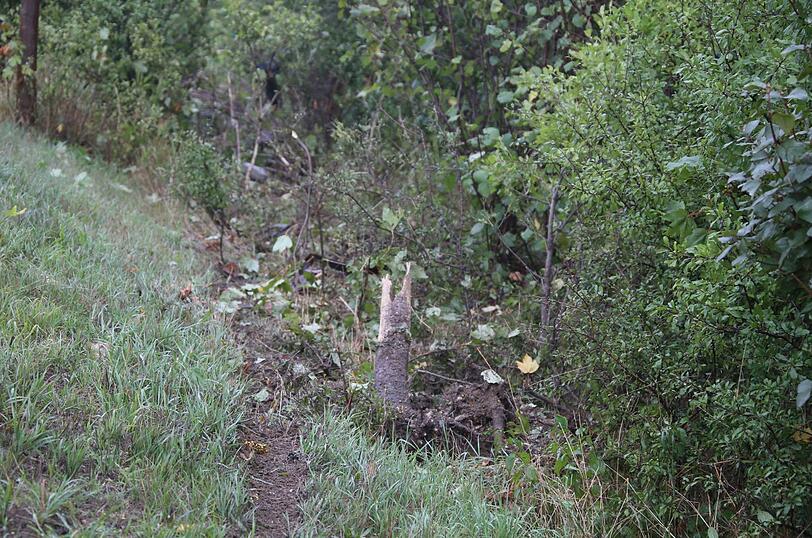 Bei einem Unfall bei Schwindegg hat sich eine Fahranfängerin mehrmals überschlagen.