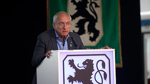 TSV 1860 München, Hans Sitzberger, Löwen-Vizepräsident, Vize-Präsident
