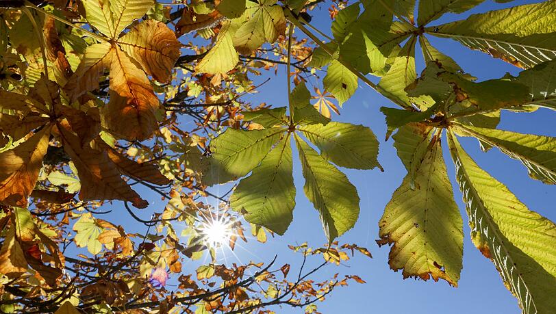 Die kommenden Tage bleibt es sonnig und warm in Bayern, einzig nachts wird es frisch. (Symbolbild)