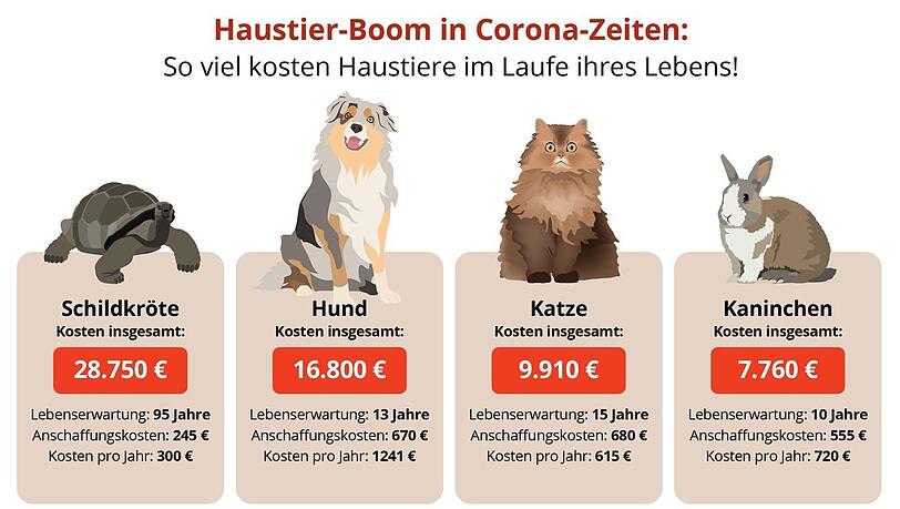 So viel kosten Haustiere im Laufe ihres Lebens. So viel kosten Haustiere im Laufe ihres Lebens.