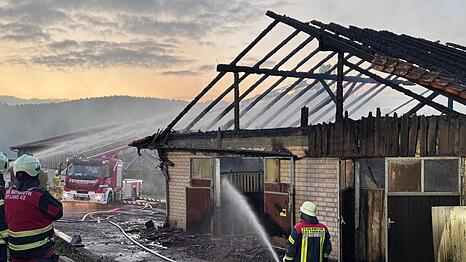 Stundenlang waren die Feuerwehrleute im Einsatz, um den Brand zu löschen.