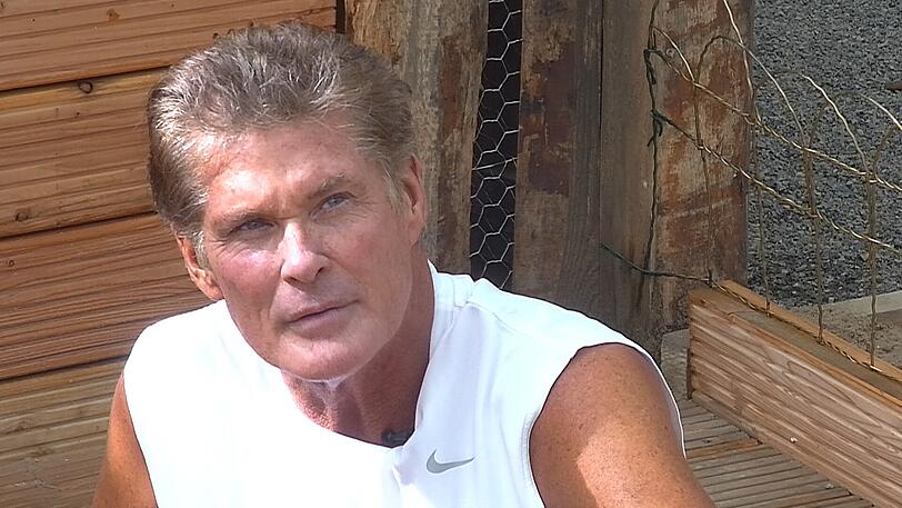 Tag 2 bei Promi-Big-Brother: David Hasselhoff schwitzt beim Morgensport, Jenny Elvers öffnet sich in ihrer Alkoholbeichte, Martin Semmelrogge zeigt sich wieder nackt