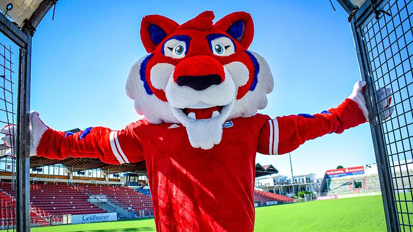 Neues Maskottchen für die SpVgg Unterhaching: Der Hachinger Tiger.
