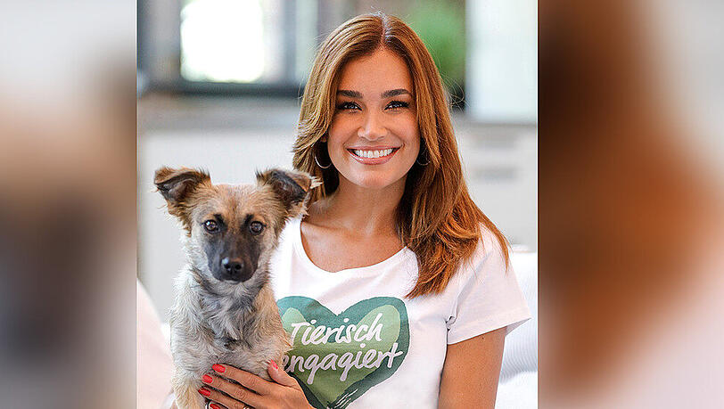 Moderatorin Jana Ina Zarrella und ihr neues Familienmitglied, Hund Cici, sind ein Herz und eine Seele. Moderatorin Jana Ina Zarrella und ihr neues Familienmitglied, Hund Cici, sind ein Herz und eine Seele.