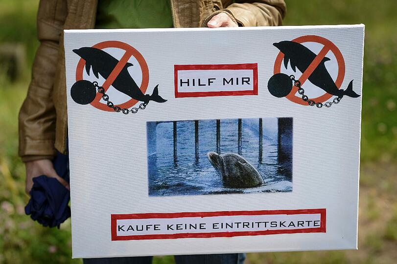 Der Protest gegen Delfinarien reißt nicht ab. Weltweit wollen Tierschützer am Samstag gegen die Haltung von Delfinen in Zoos demonstrieren.