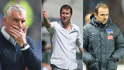 Drei heiße Kandidaten auf dne Trainerstuhl bei den Löwen: Mirko Slomka, Franco Foda und Jos Luhukay. (v.l.n.r.)