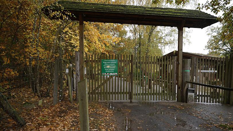 Die Polizei untersucht, wie es zu dem Angriff eines Wolf im Wildpark Johannismühle kommen konnte. Die Polizei untersucht, wie es zu dem Angriff eines Wolf im Wildpark Johannismühle kommen konnte.