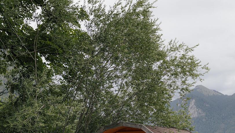 Perfekt im Herbst: aus dem Sauna-Fass rein in den See. Perfekt im Herbst: aus dem Sauna-Fass rein in den See.