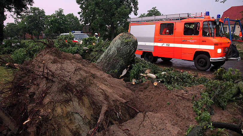 Ein umgestürzter Baum liegt im Ort Suckow im Landkreis Ludwigslust-Parchim (Mecklenburg-Vorpommern). Eine Windhose hat in Suckow und Umgebung etliche Bäume entwurzelt.