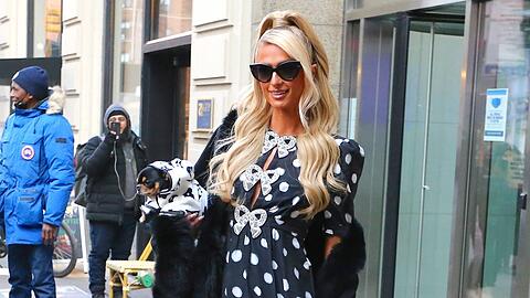 Hotel-Erbin Paris Hilton gibt ihren Hunden nicht nur interessante Namen, sondern nimmt sie auch gerne zu ihren Terminen mit.