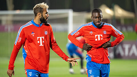 Eric-Maxim Choupo-Moting (l) und Dayot Upamecano arbeioten derzeit an ihrem Comeback. (Archivbild)