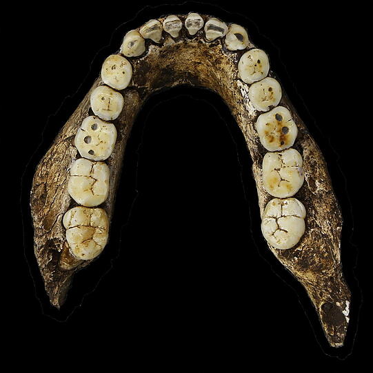 "Homo Naledi" - in einer Höhle in Südafrika ist ein Verwandter des modernen Menschen entdeckt worden.