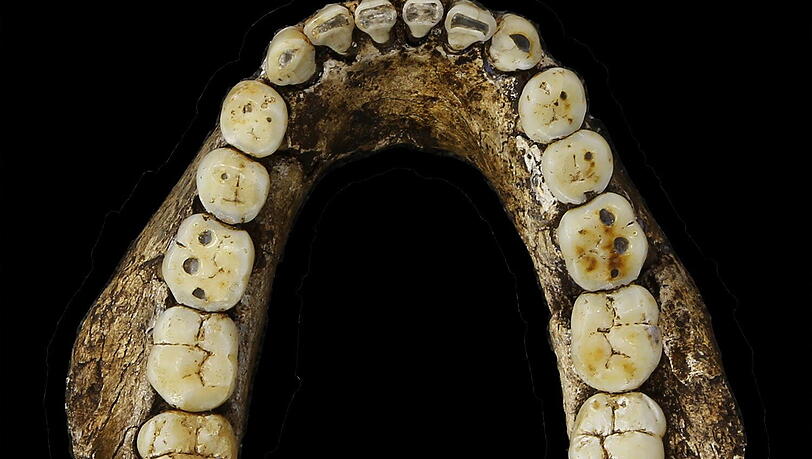 "Homo Naledi" - in einer Höhle in Südafrika ist ein Verwandter des modernen Menschen entdeckt worden. "Homo Naledi" - in einer Höhle in Südafrika ist ein Verwandter des modernen Menschen entdeckt worden.
