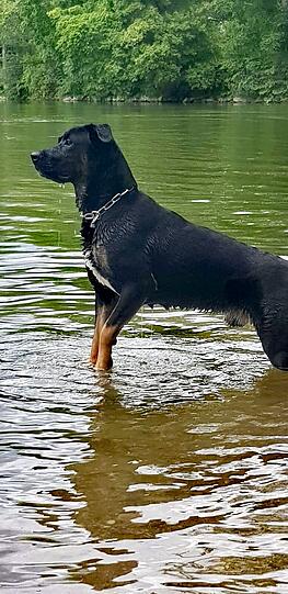 Max