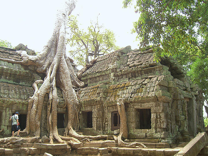 Aus dem 12. Jahrhundert: Ta Phrom in Angkor