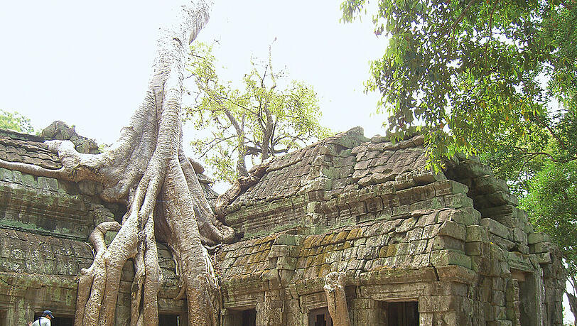 Aus dem 12. Jahrhundert: Ta Phrom in Angkor Aus dem 12. Jahrhundert: Ta Phrom in Angkor