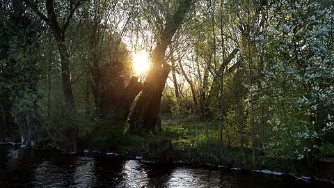 Wirklich malerisch: Sonnenaufgang an der Würm in Obermenzing.