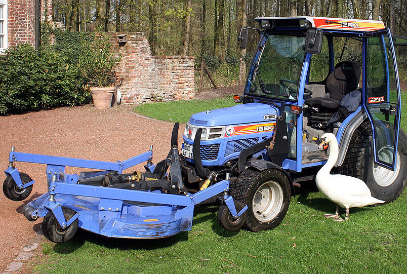 Höckerschwan SCHWANI: Der Vogel aus Velen im Münsterland entflammte 2011 für einen Traktor. Sobald der Motor knatterte, watschelte er dem Gefährt durch die Grünanlagen eines Hotels hinterher. Das Happy End:
Schwani verließ den Traktor und schwamm zu einer Gans.