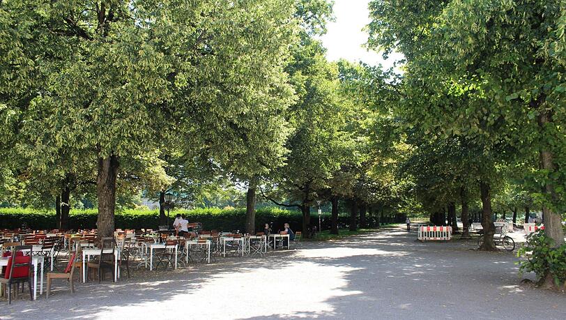 Betörend duftig! Auch die Linden-Allee im Münchner Hofgarten blühtgerade so üppig wie seit 20 Jahren nicht.
