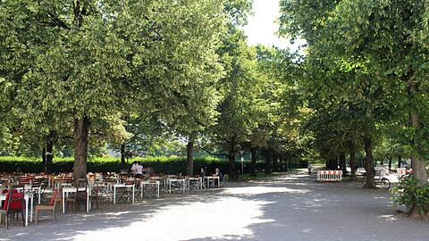 Betörend duftig! Auch die Linden-Allee im Münchner Hofgarten blühtgerade so üppig wie seit 20 Jahren nicht.