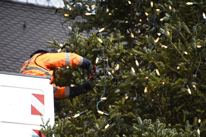 Der Christbaum aus Peiting im Landkreis Weilheim-Schongau wird mit Lichtern bestückt.