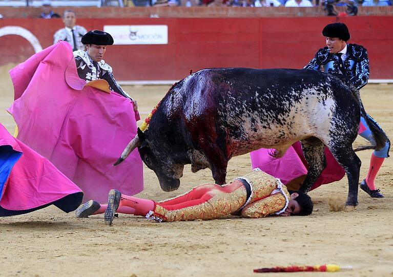 Der  Torero Victor Barrio wurde am Wochenende bei einem Stierkampf tötlich verletzt.
