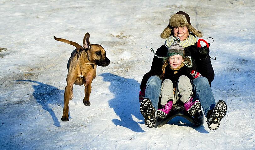 Schnee in Holland