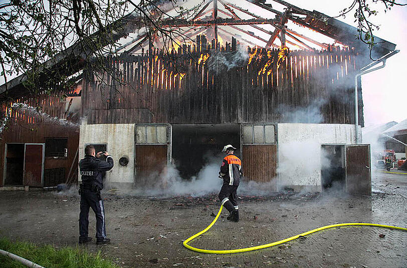 Bilder vom Großeinsatz der Feuerwehr: In Petting stand ein Stall in Vollbrand, etliche Tiere mussten aus dem brennenden Gebäude gerettet werden.