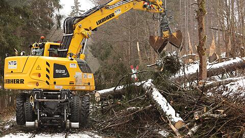 Umgest&uuml;rzte B&auml;ume liegen auf den Gleisen der Harzer Schmalspurbahn.