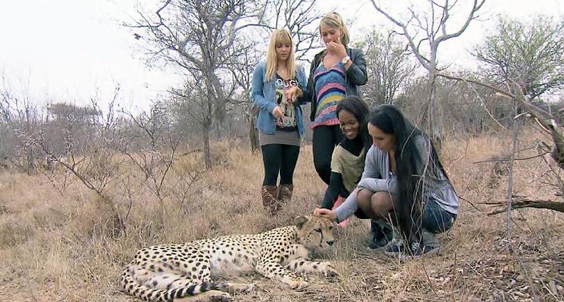 Lisa, Jessica, Nadege und Maggie (v.l.n.r.) während eines Gruppendates mit einem Gepard im Wildpark.