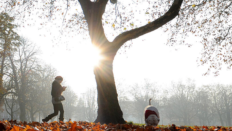 Raus in den Herbst, das hilft – auch wenn’s nicht immer so verlockend aussieht wie auf diesem Bild. Raus in den Herbst, das hilft – auch wenn’s nicht immer so verlockend aussieht wie auf diesem Bild.