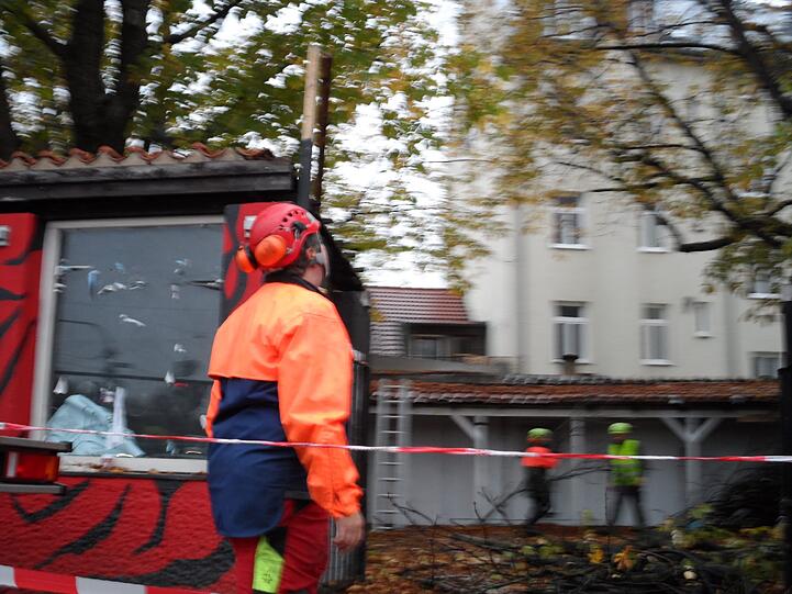 Noch schneiden die Arbeiter erst kleinere Äste aus den Bäumen an der Fraunhoferstraße. Bald fallen die Bäume komplett. Trotz aller Proteste.