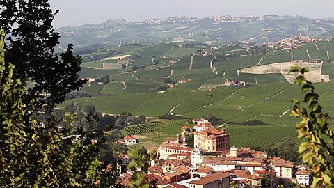 Der Barolo aus der Umgebung der gleichnamigen Gemeinde geh&ouml;rt zu den ber&uuml;hmtesten Weinen der Welt. (Archivbild)