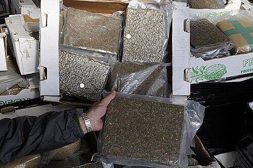 Größter Drogenfund in Hamburg seit 15 Jahren: Fahnder entdeckten am Hamburger Hafen Marihuana im Wert von 28 Millionen Euro.