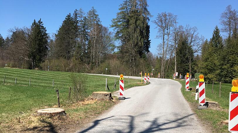 Von den Linden ist nicht mehr viel übrig.