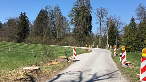 Von den Linden ist nicht mehr viel übrig.
