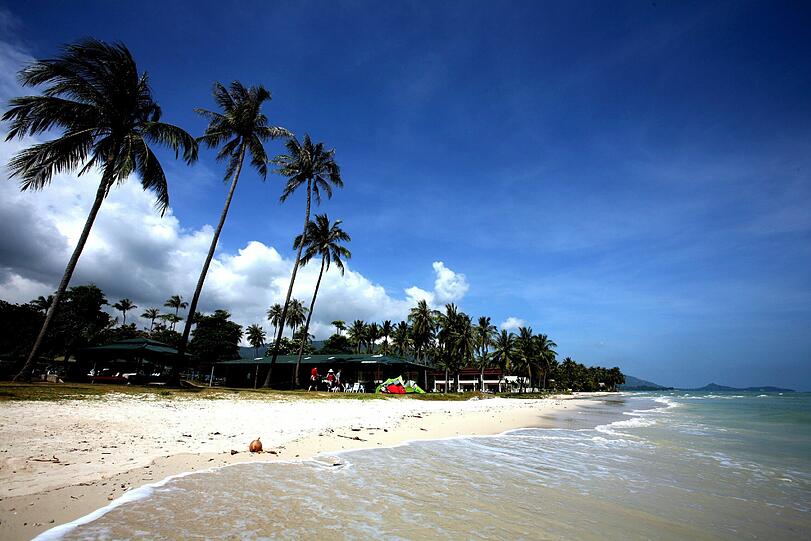 Alptraum: Eine 20-jährige Göttingerin starb am Gift einer Würfelqualle auf der thailändischen Trauminsel Koh Samui.