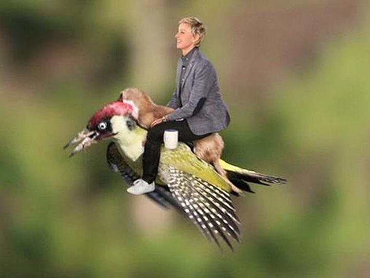 Ellen DeGeneres hat ein neues Transportmittel für sich entdeckt