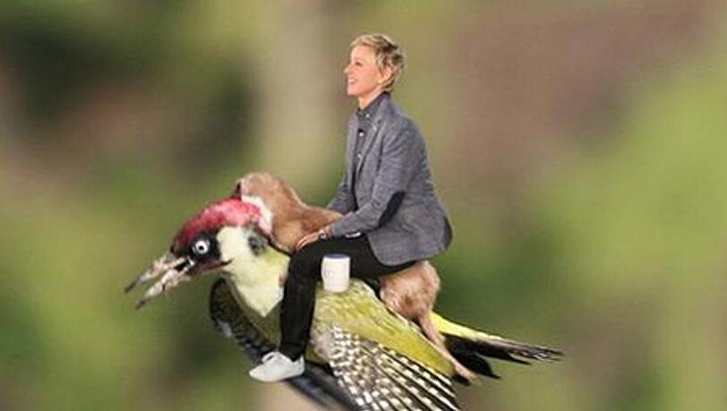 Ellen DeGeneres hat ein neues Transportmittel für sich entdeckt Ellen DeGeneres hat ein neues Transportmittel für sich entdeckt