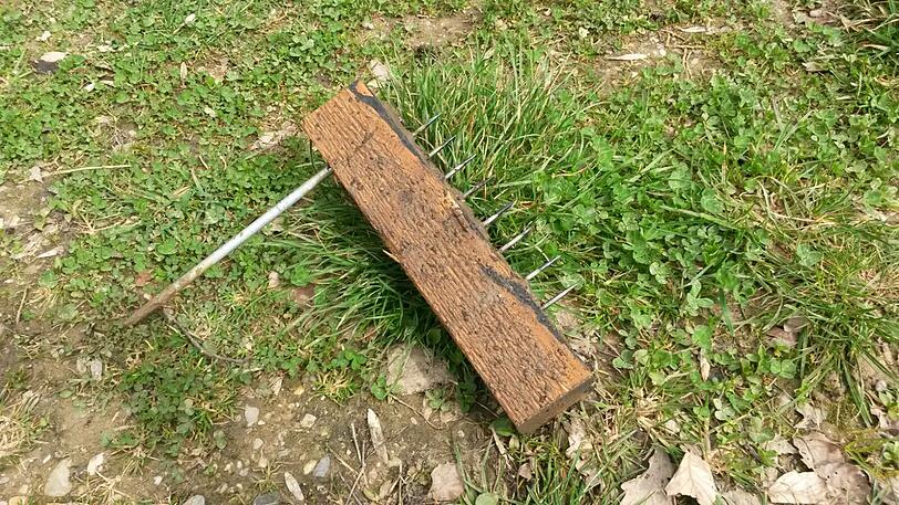 Mit dem langen Nagel wurde das Brett im Erdreich festgehalten.