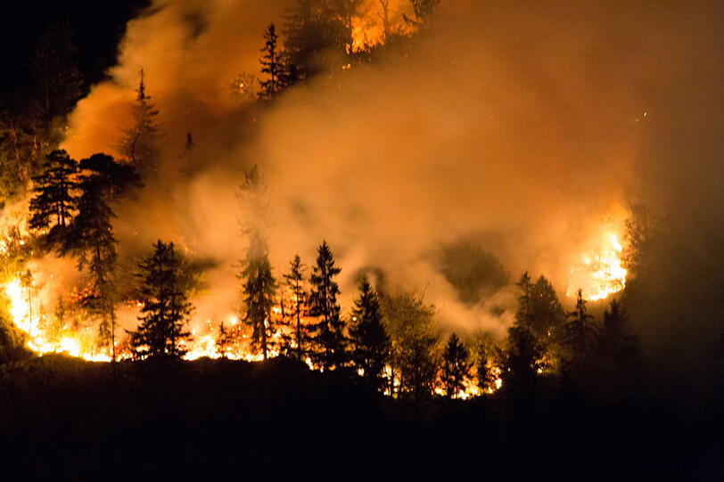 Die Polizei meldete am frühen Morgen: "Aus bisher ungeklärter Ursache kam es am Samstag, 27.07.13, abends, zu einem Waldbrand oberhalb des Thumsees bei Bad Reichenhall." Die Bilder zum Durchklicken.